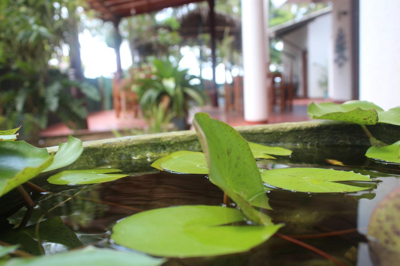 Julie Guest House Tangalle Exterior photo