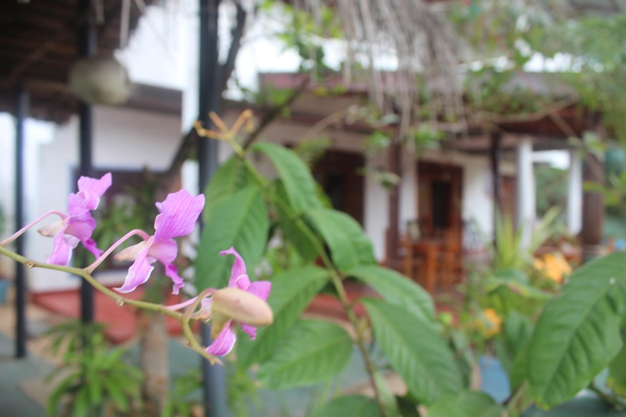 Julie Guest House Tangalle Exterior photo