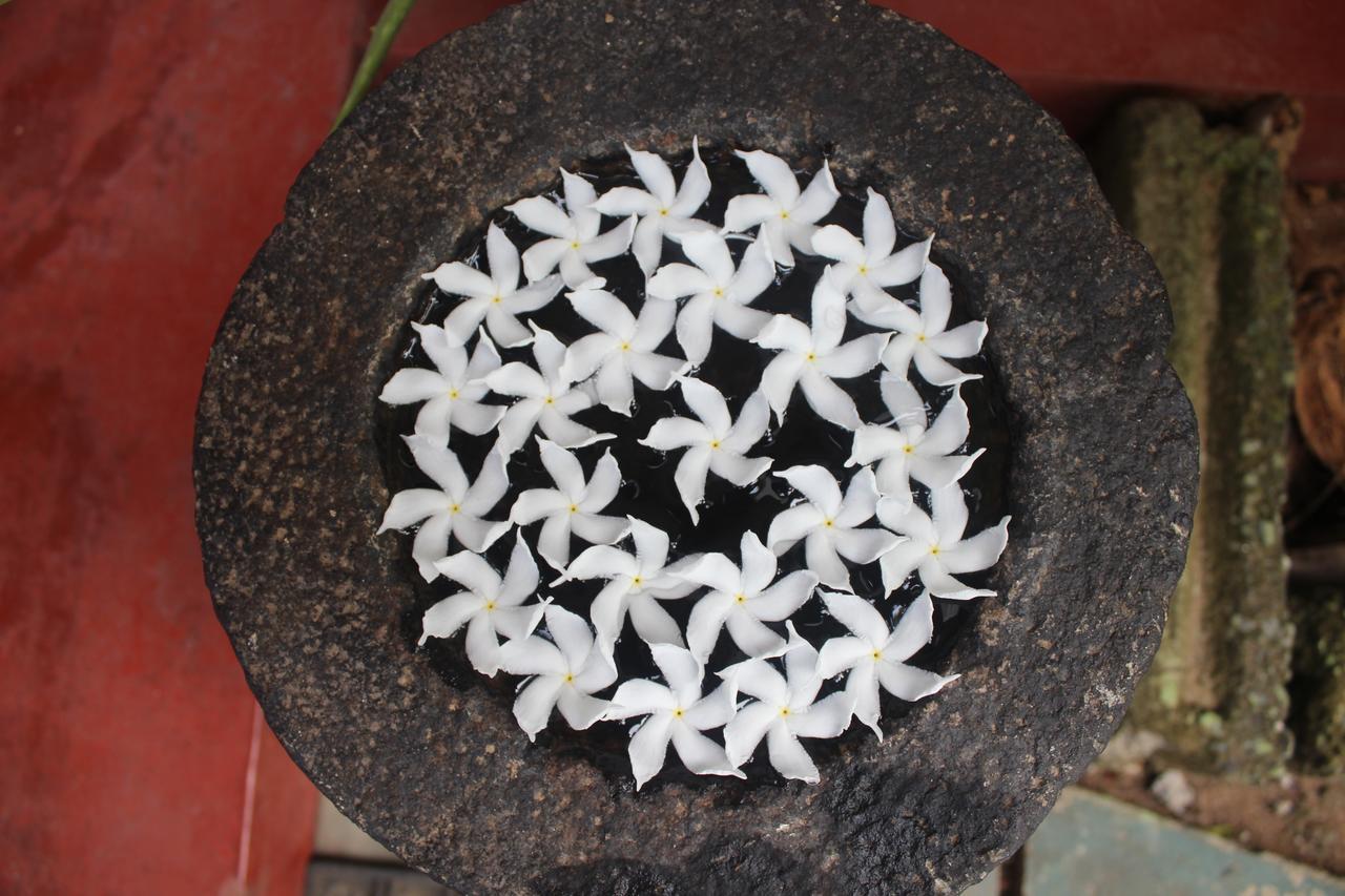 Julie Guest House Tangalle Exterior photo