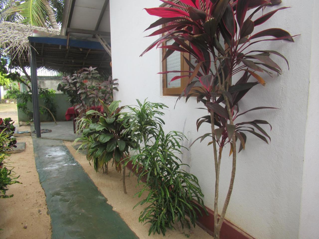 Julie Guest House Tangalle Exterior photo