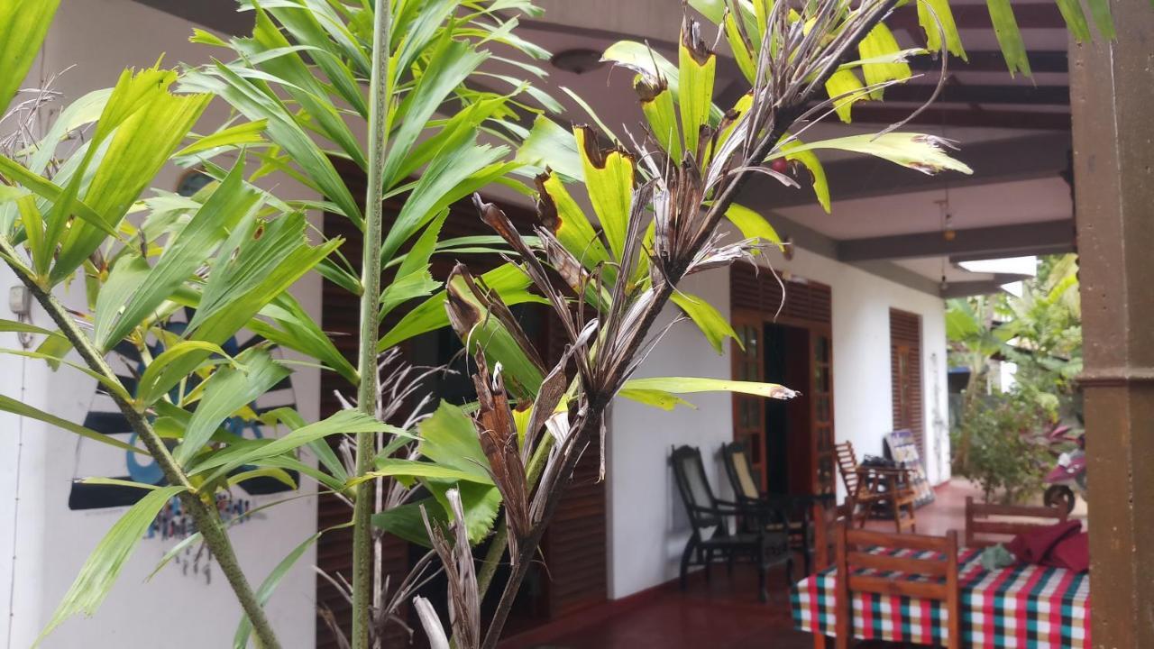 Julie Guest House Tangalle Exterior photo